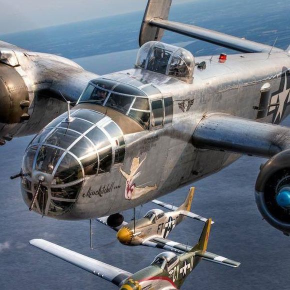 Meet your Posher, Tammy - Picture 1 of 1